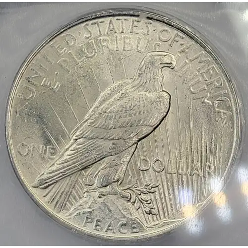 Peace Silver Dollar (4)