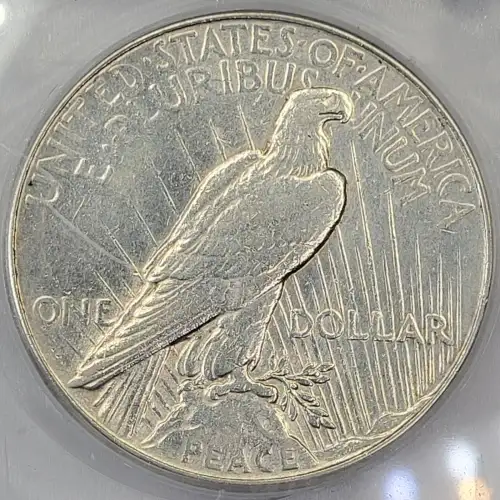 Peace Silver Dollar (4)