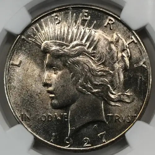 Peace Silver Dollar (2)
