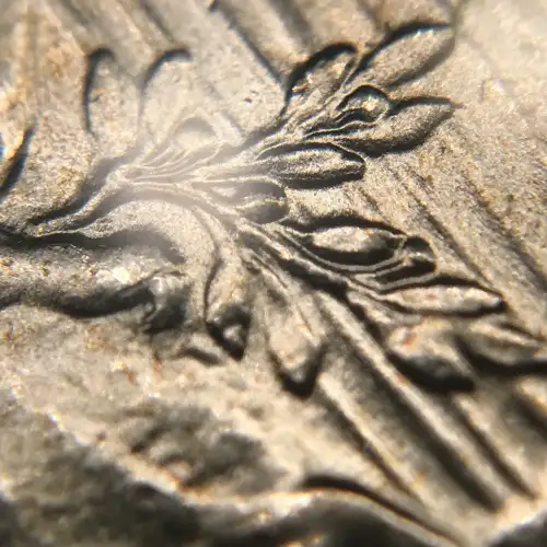 Peace Silver Dollar (5)