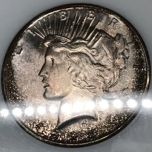 Peace Silver Dollar (4)
