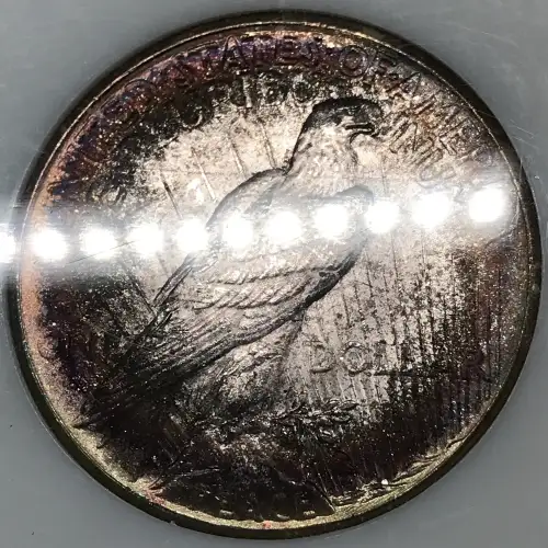 Peace Silver Dollar (6)