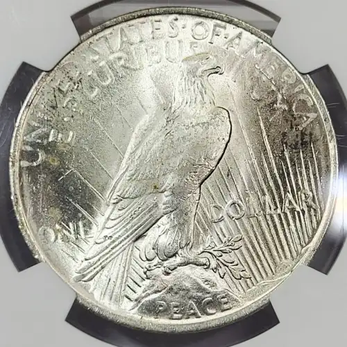 Peace Silver Dollar (4)