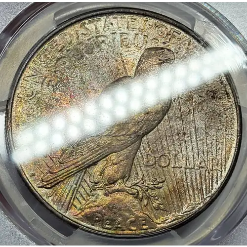 Peace Silver Dollar (6)