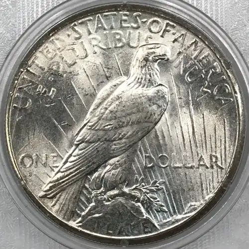 Peace Silver Dollar (4)