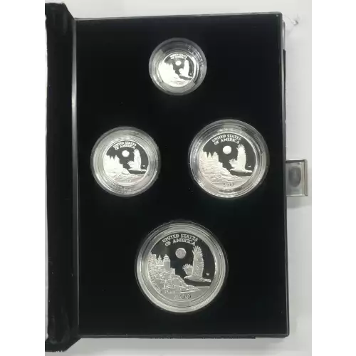 Platinum Bullion-Platinum Eagles--Four Coin Platinum Eagle Set 1oz, 1/2oz, 1/4oz, 1/10oz -Platinum- 185 Dollar