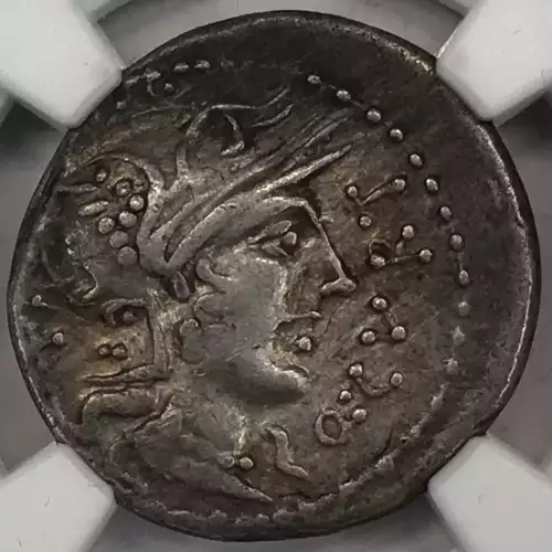 Q.Curtius & M.Silanus   (4)