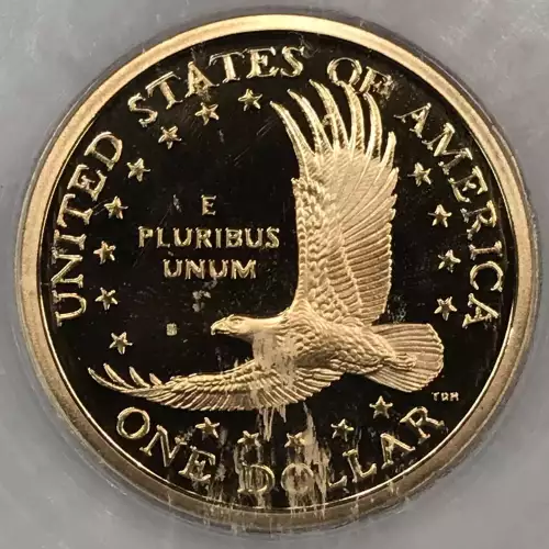 Sacagawea 2000-2008 - Brass Dollar (3)