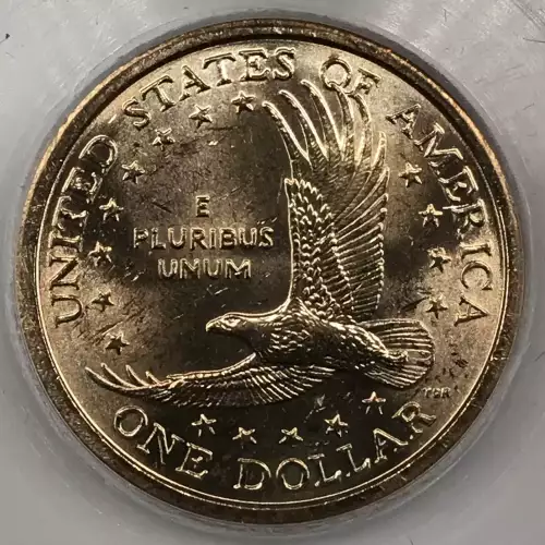 Sacagawea 2000-2008 - Brass Dollar (2)