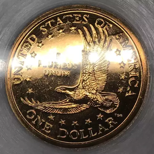 Sacagawea 2000-2008 - Brass Dollar (5)
