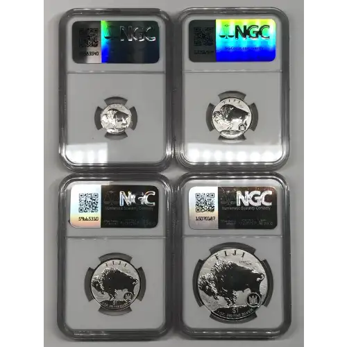 Silver (COIN) (any weight) (2)
