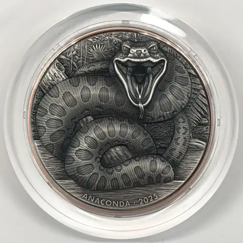 Silver (COIN) (any weight) (2)