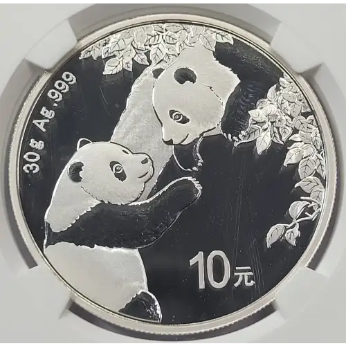 Silver (COIN) (any weight) (2)