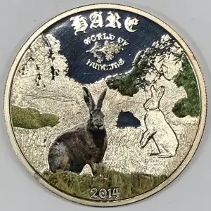 Silver (COIN) (any weight)