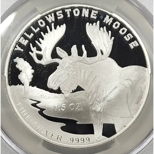 Silver (COIN) (any weight)