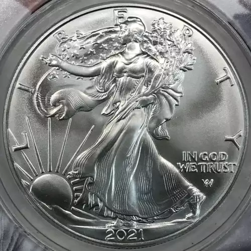 Silver Eagles (2)