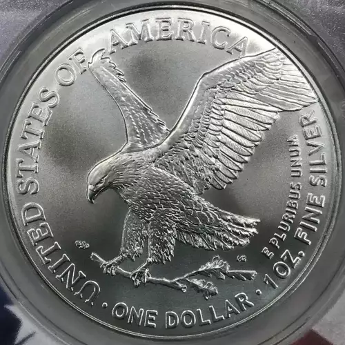 Silver Eagles (3)