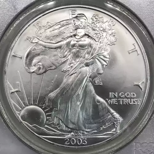Silver Eagles (2)