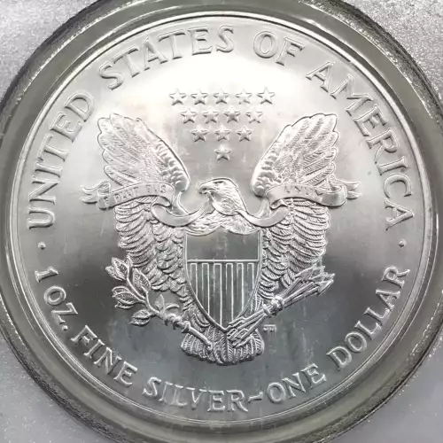 Silver Eagles (2)