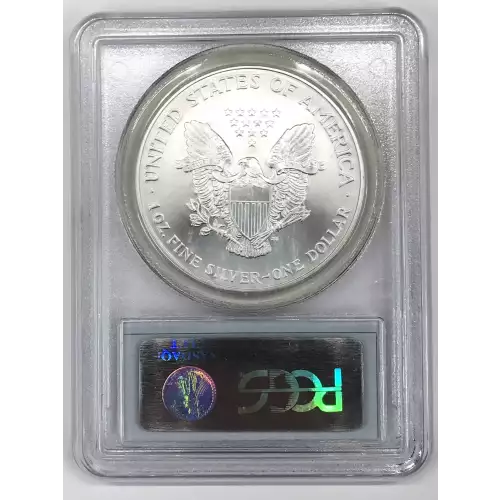 Silver Eagles
