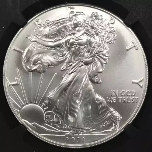 Silver Eagles (4)