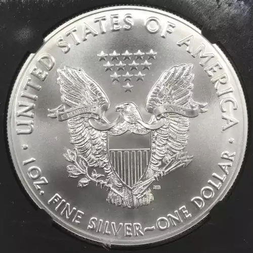 Silver Eagles (3)