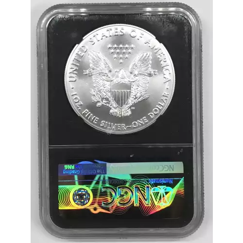 Silver Eagles