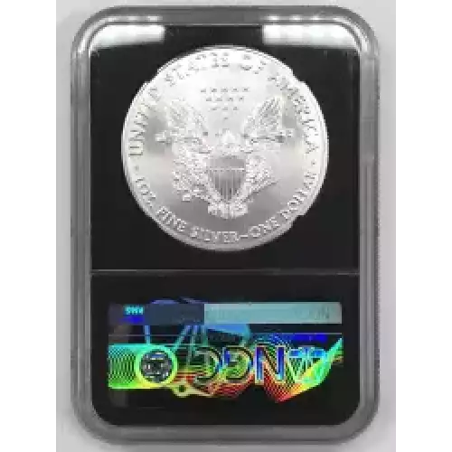 Silver Eagles (2)
