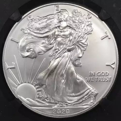 Silver Eagles (4)