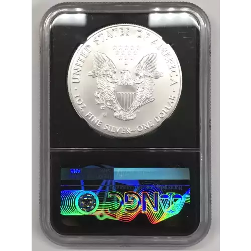 Silver Eagles (2)