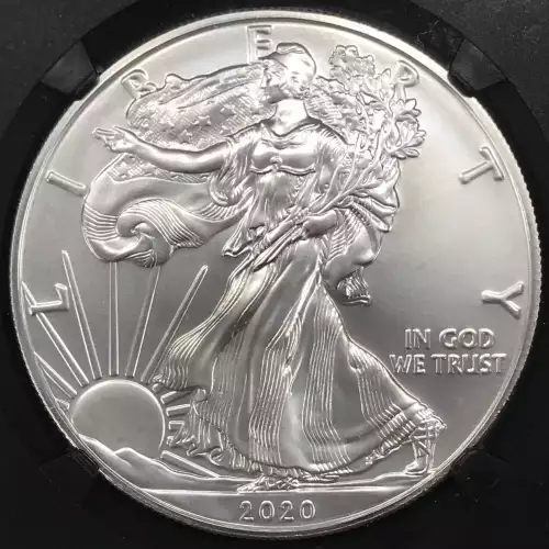 Silver Eagles (3)