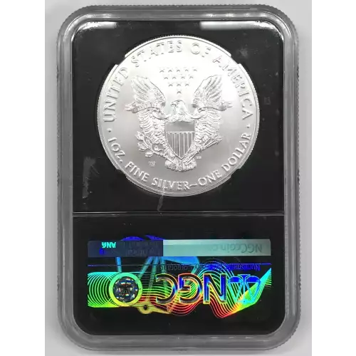 Silver Eagles (2)
