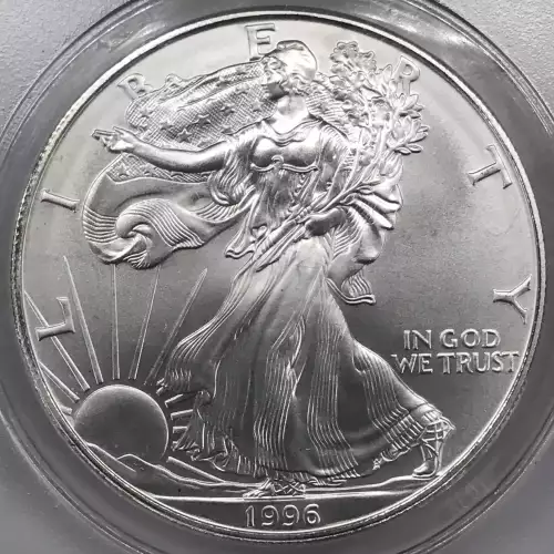 Silver Eagles (2)