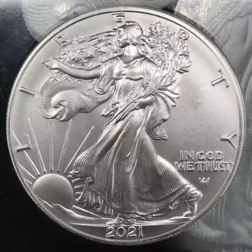 Silver Eagles (3)