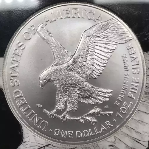 Silver Eagles (5)
