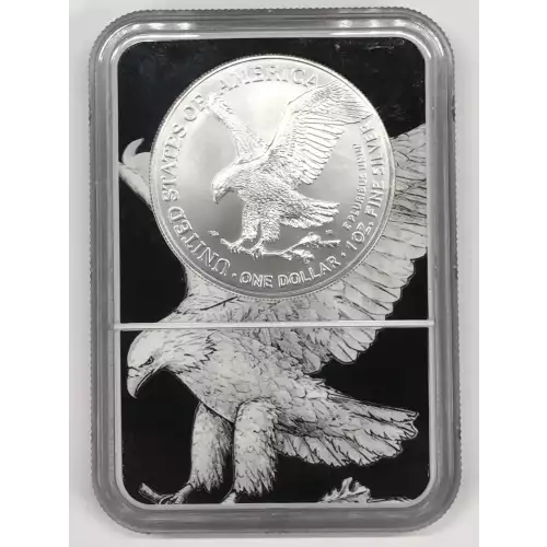 Silver Eagles
