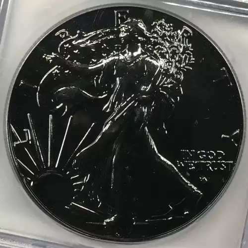 Silver Eagles (2)