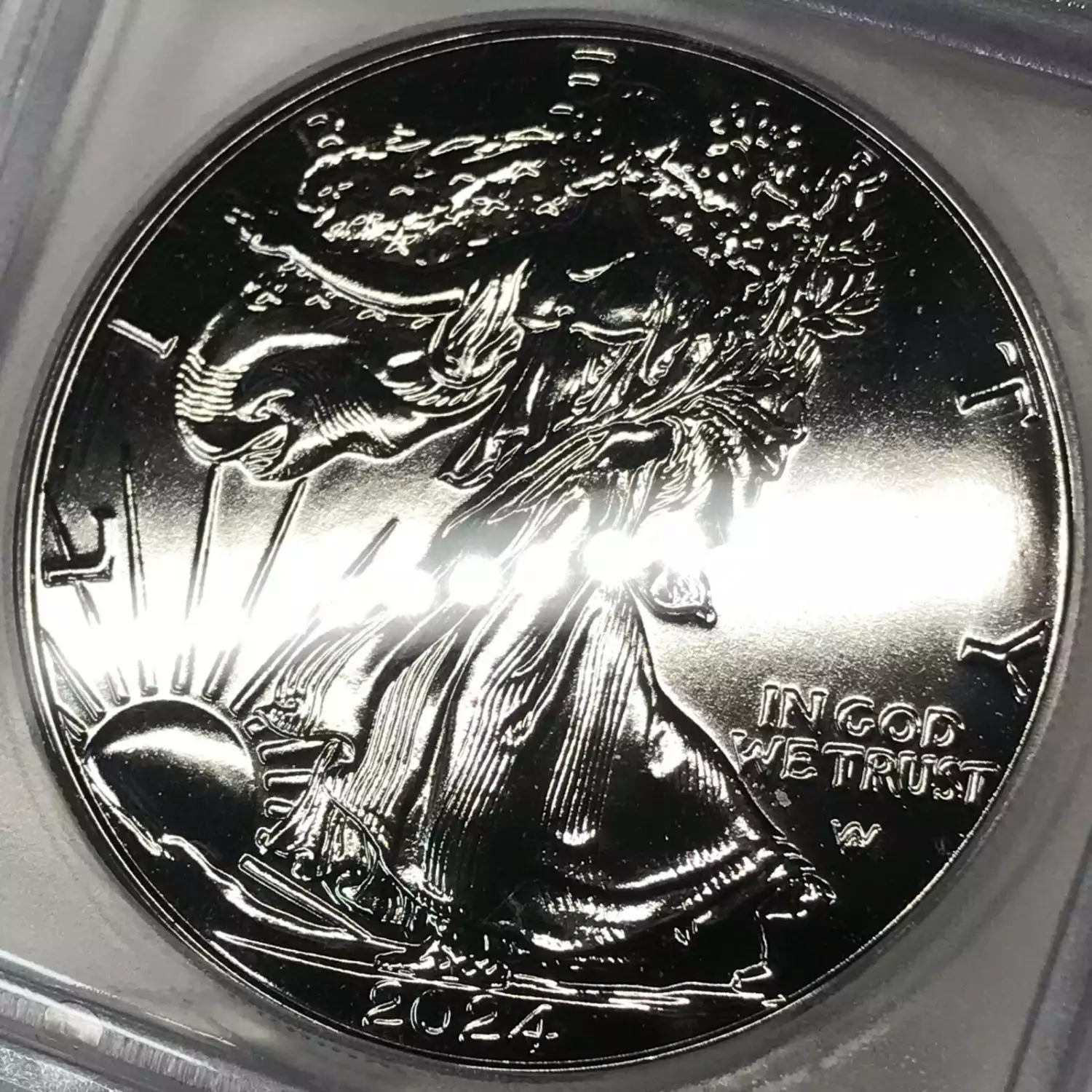 2024 American Eagle Silver Dollar (1 Oz) - Black Ruthenium Silhouette Type 2 - U.S. Mint