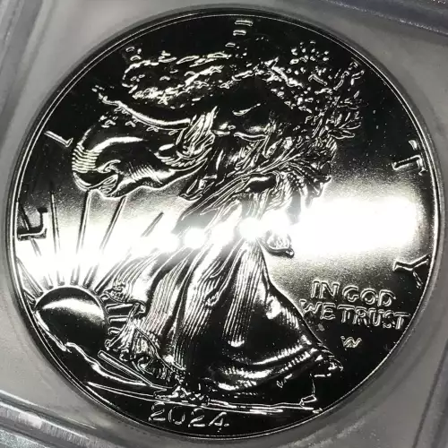 Silver Eagles (3)