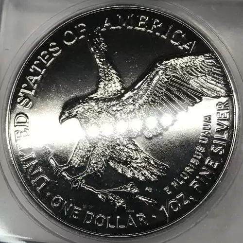 Silver Eagles (5)