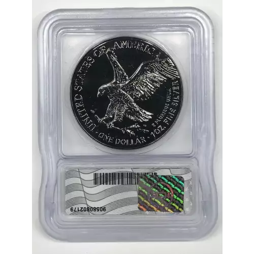 Silver Eagles (4)