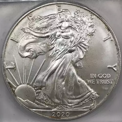 Silver Eagles (2)