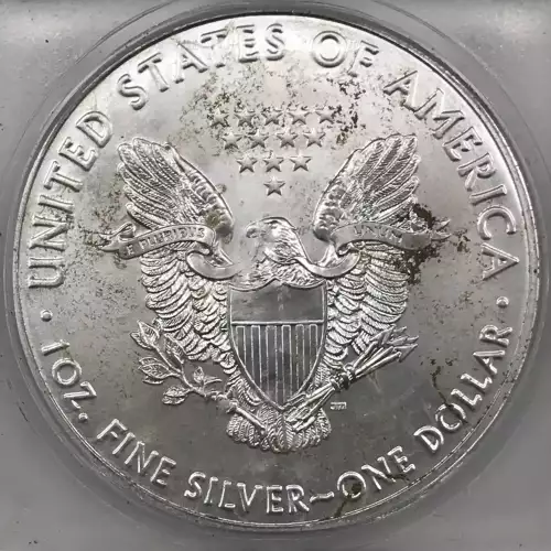 Silver Eagles (3)