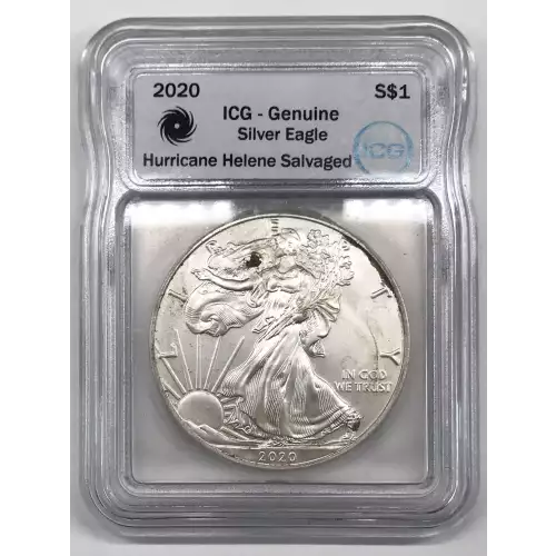 Silver Eagles