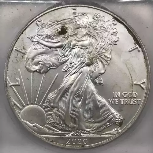 Silver Eagles (3)