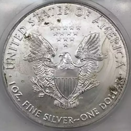 Silver Eagles (2)