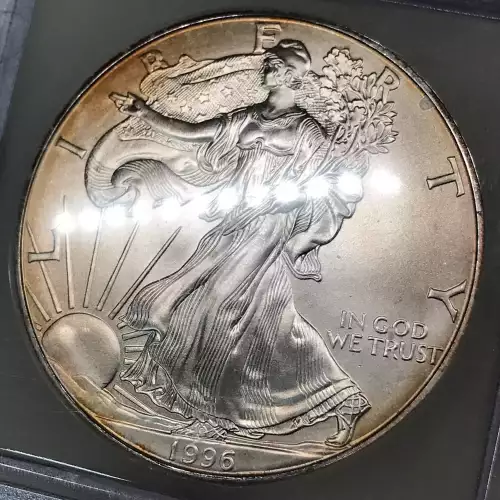 Silver Eagles (3)