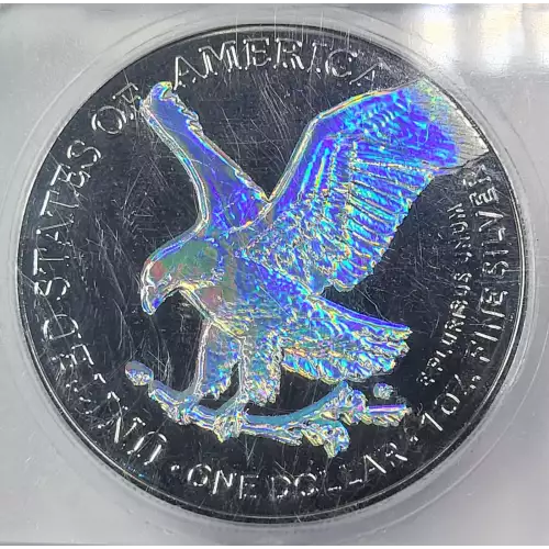 Silver Eagles (4)