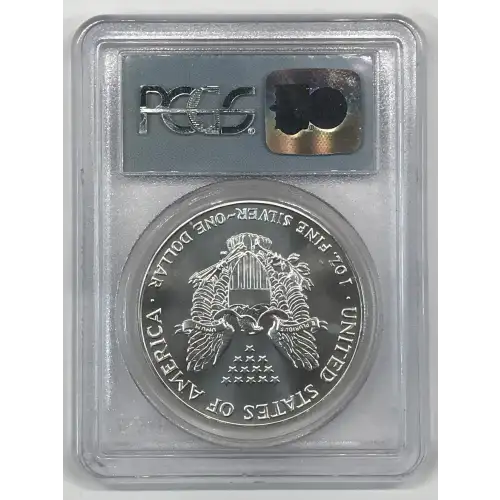 Silver Eagles (2)