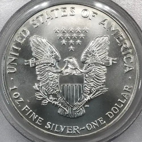 Silver Eagles (4)